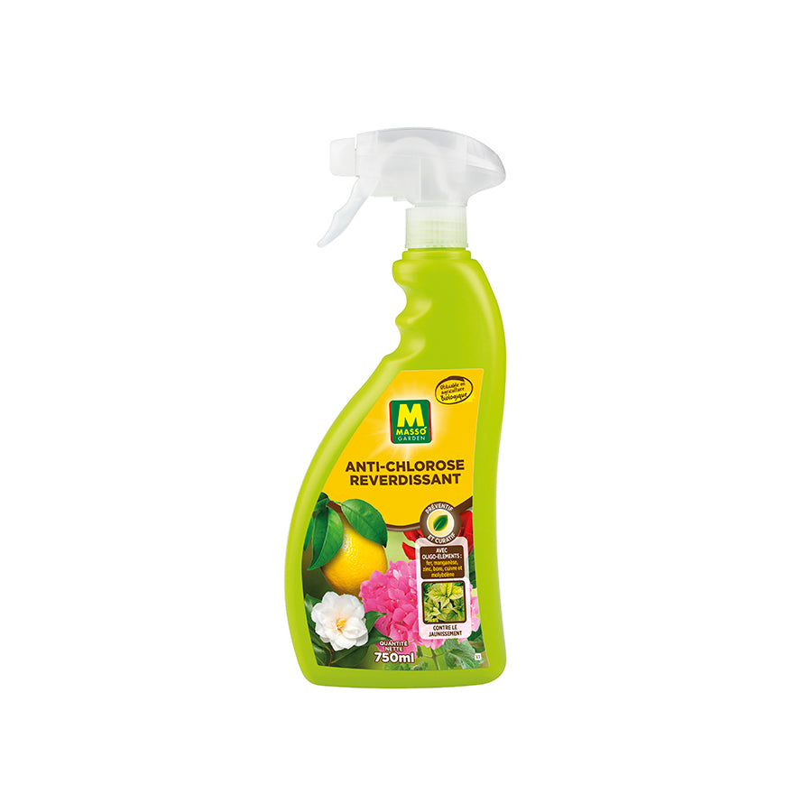Anti-chlorose reverdissant en spray