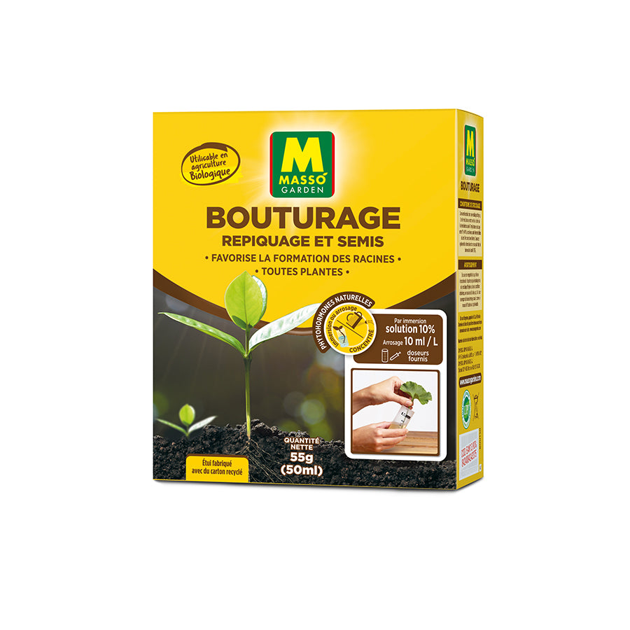 Bouturage