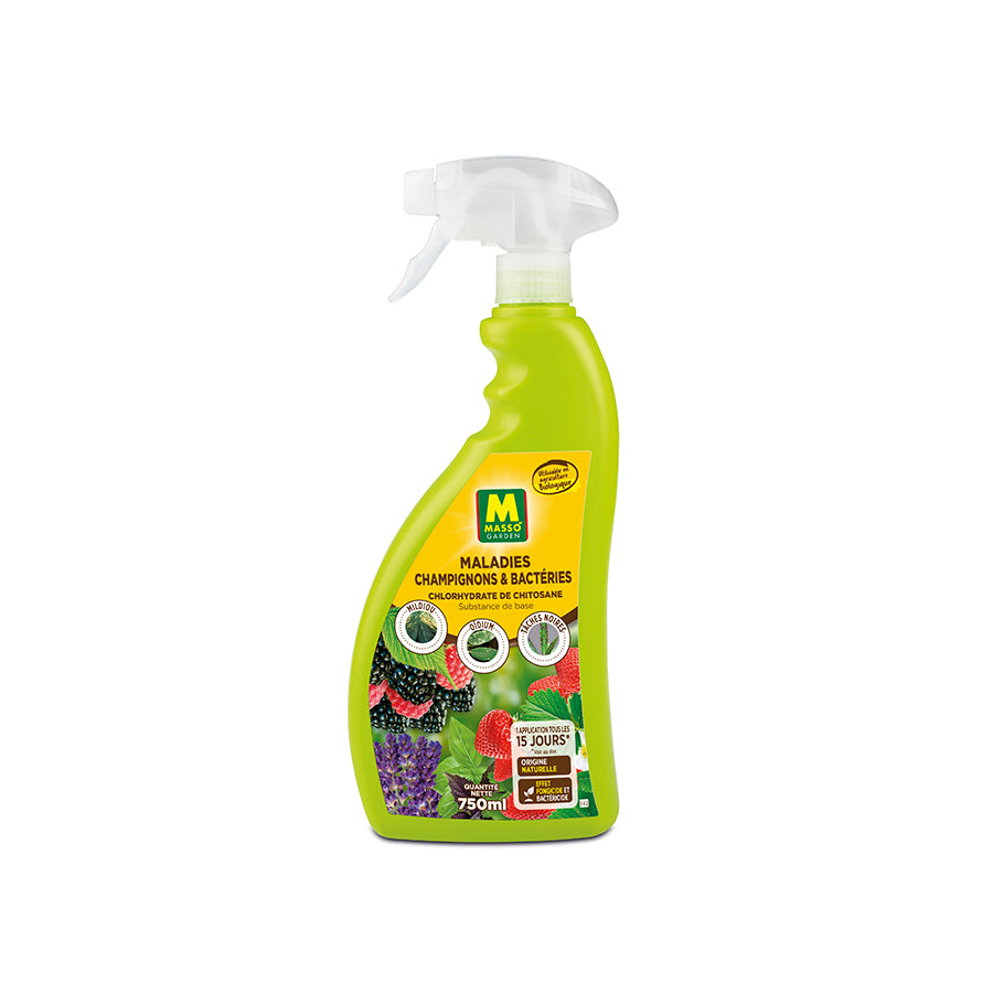 Maladies champignons et Bactéries en spray