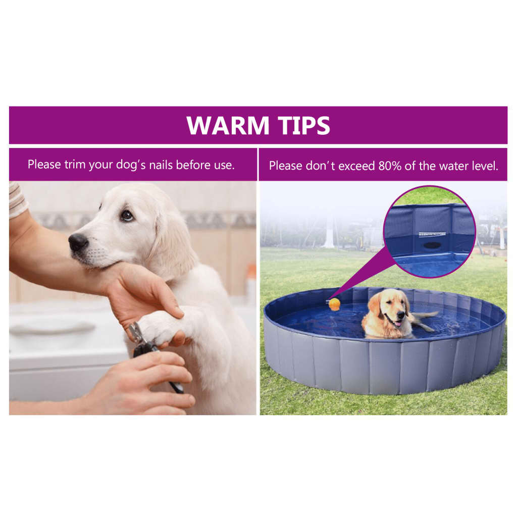 Piscine Pliable Pour Chiens Pvc