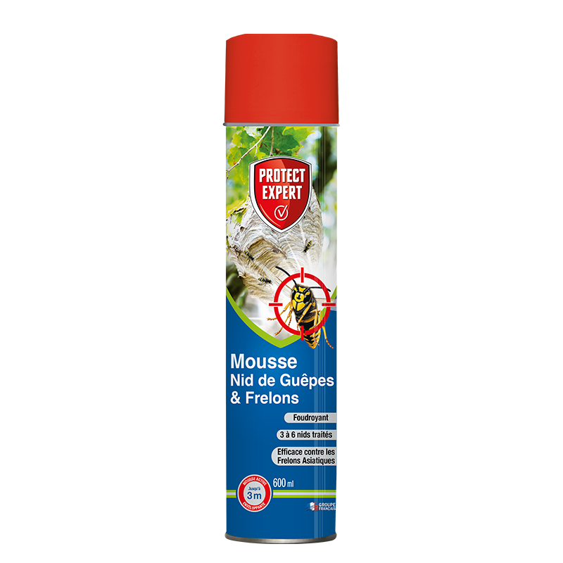 Mousse pour nid de guêpes