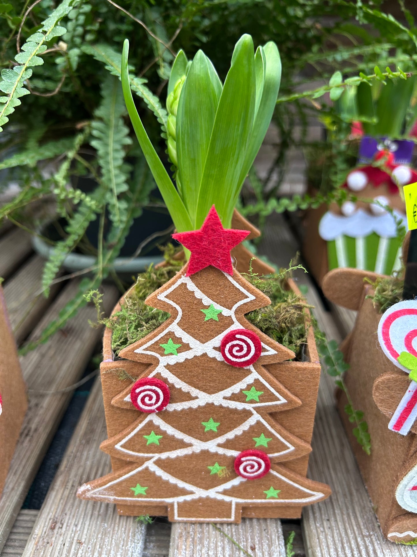 Composition florale pour les fêtes de fin d'année