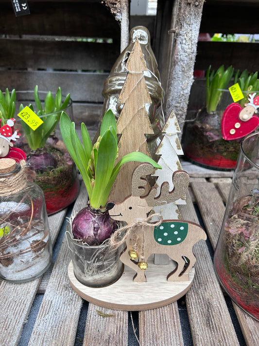 Composition florale pour les fêtes de fin d'année