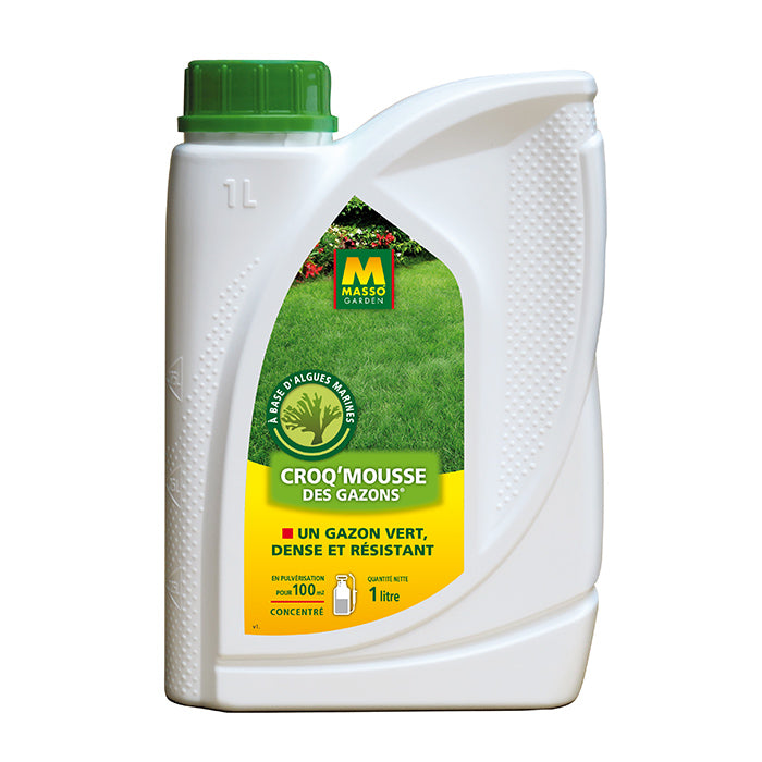 Croq mousse des gazon