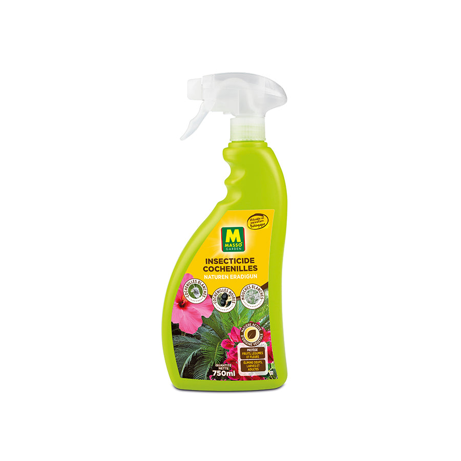 Insecticide cochenilles en spray