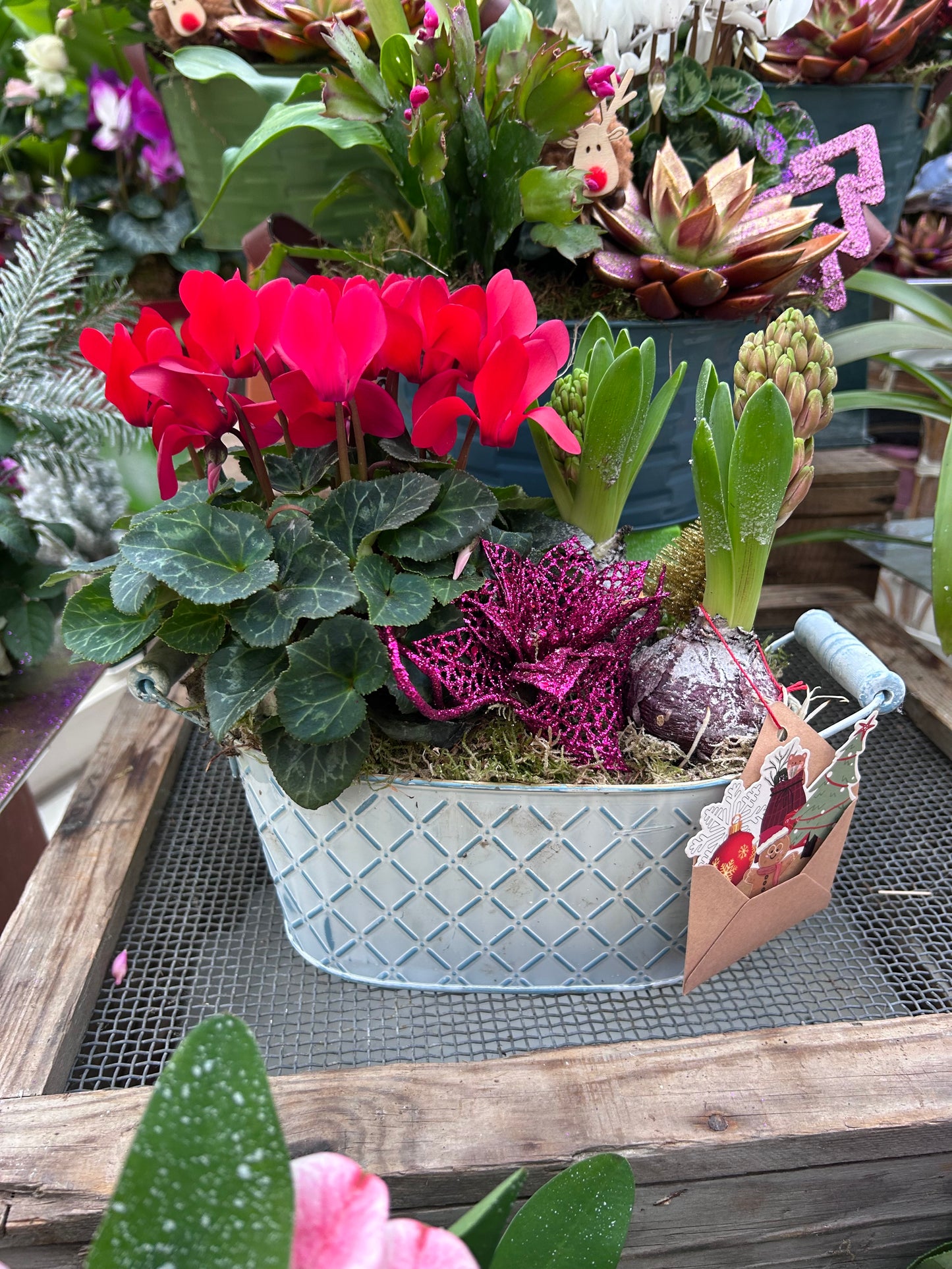 Composition florale pour les fêtes de fin d'année