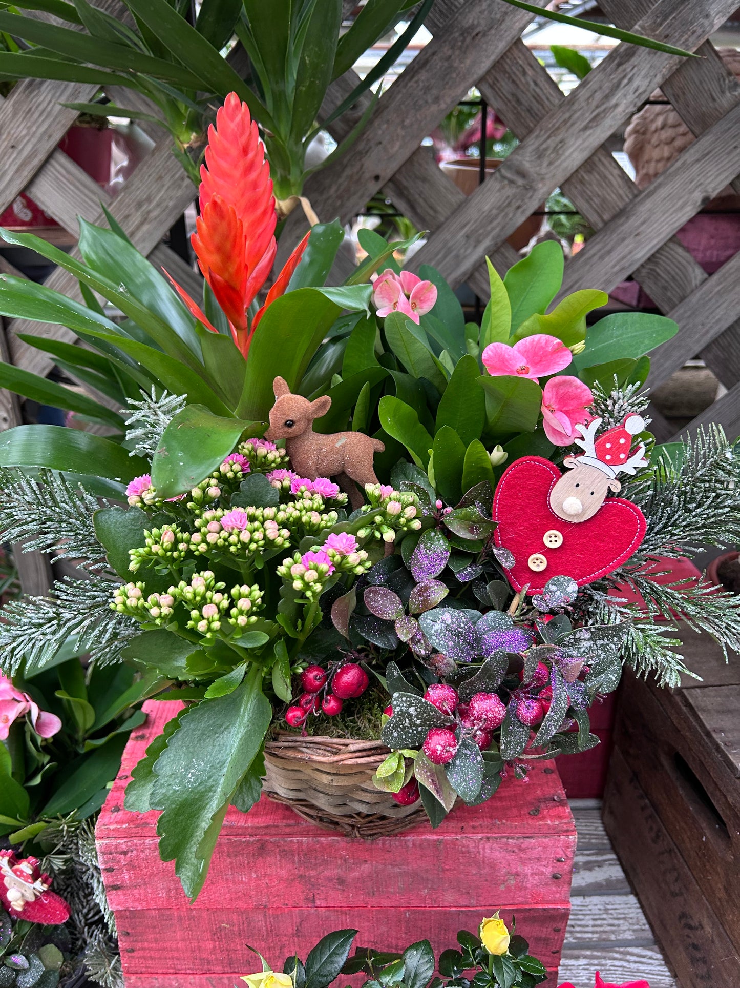 Composition florale pour les fêtes de fin d'année