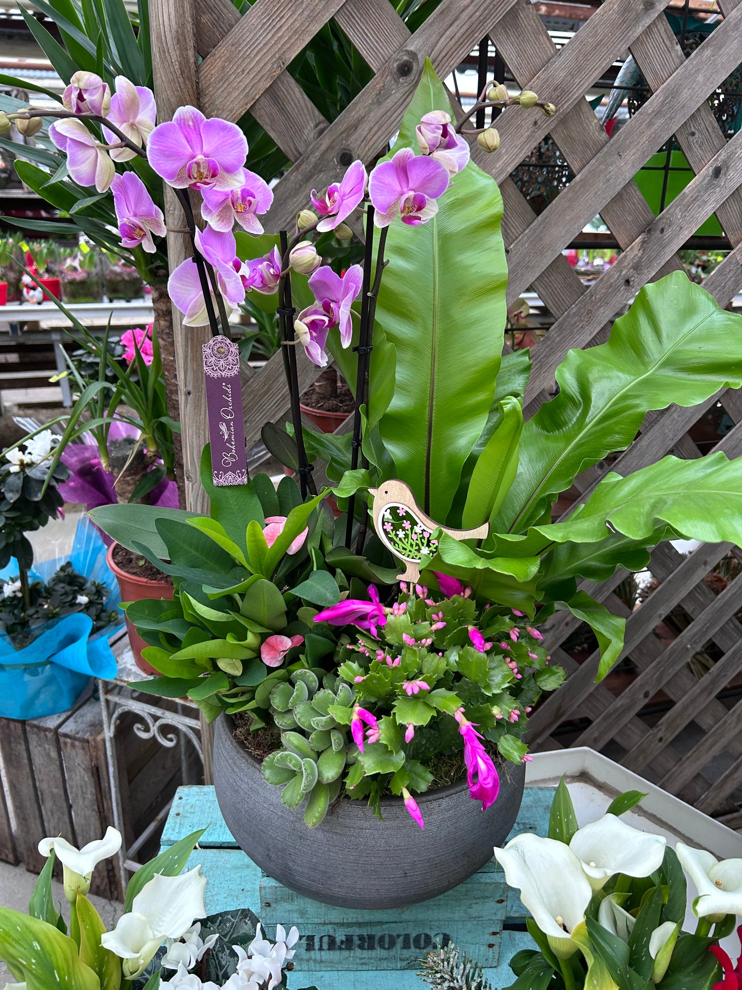 Composition florale pour les fêtes de fin d'année