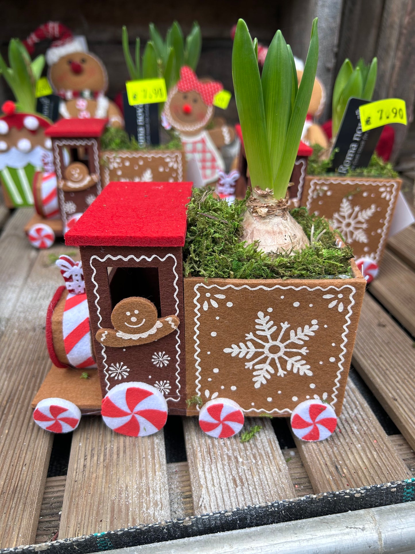 Composition florale pour les fêtes de fin d'année