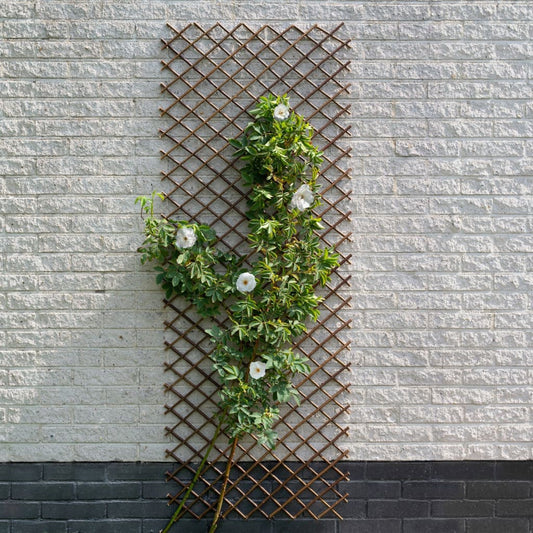 Nature Nature Treillis De Jardin Saule Naturel Marron