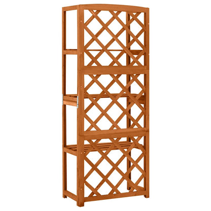 Treillis Avec Étagères 55X30X140 Cm Bois De Sapin Massif