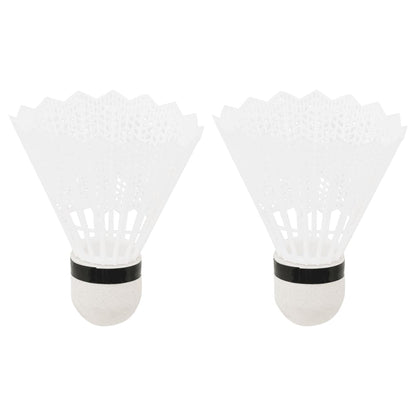 Set De Badminton Avec 2 Raquettes, Filet Et Coffret Rangement