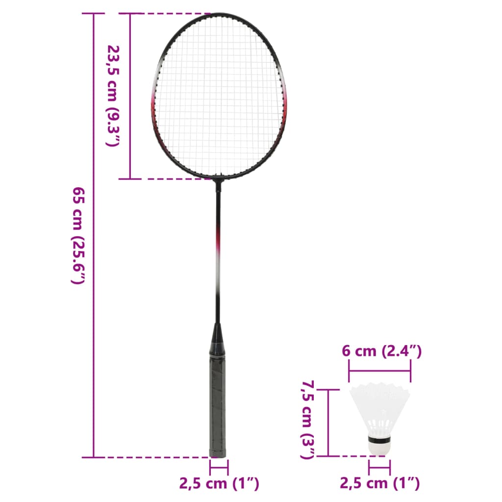 Set De Badminton Avec 2 Raquettes, Filet Et Coffret Rangement