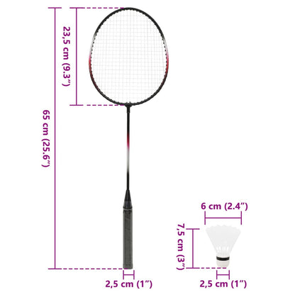Set De Badminton Avec 2 Raquettes, Filet Et Coffret Rangement