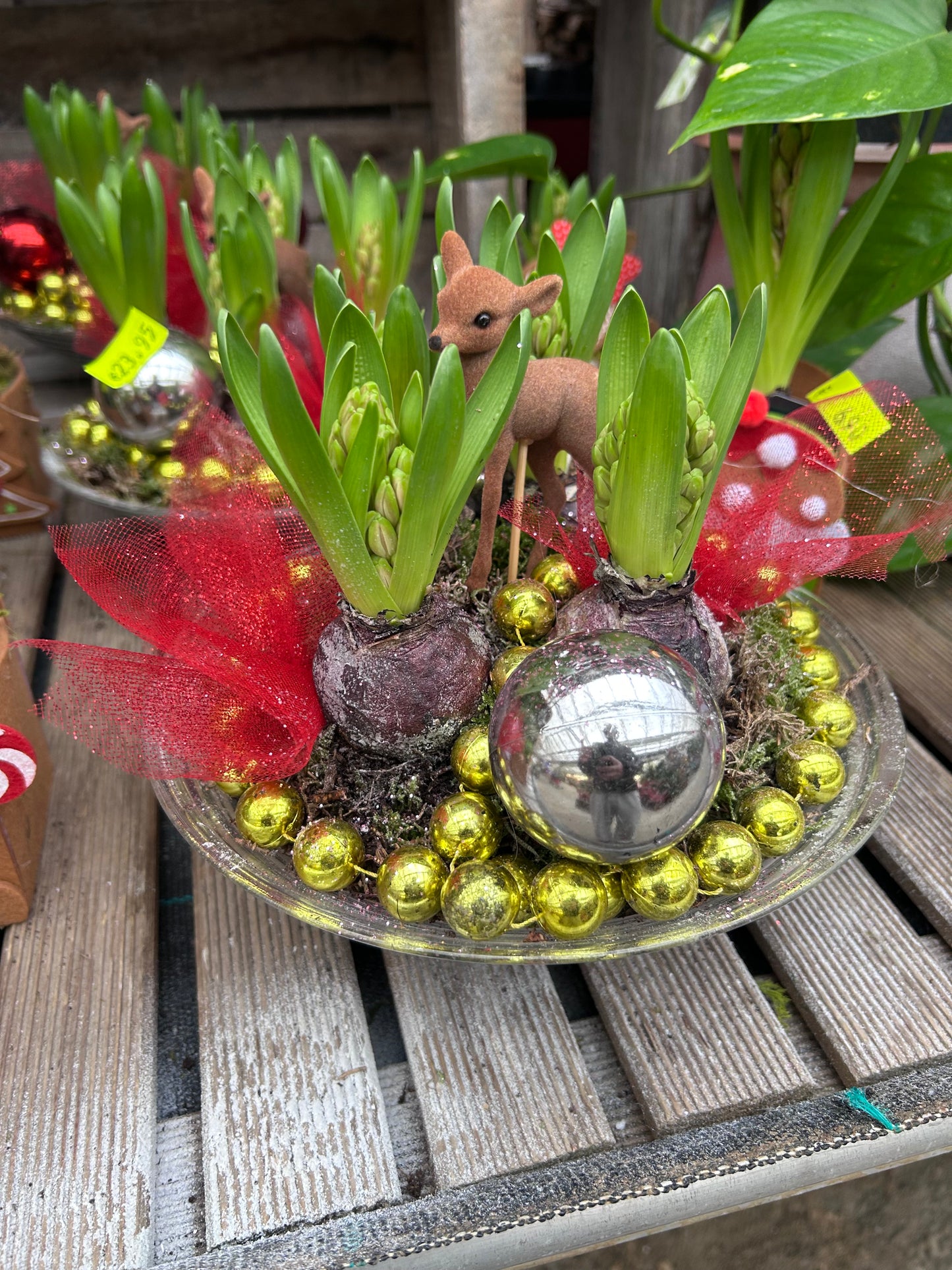 Composition florale pour les fêtes de fin d'année