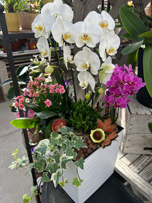 composition florales