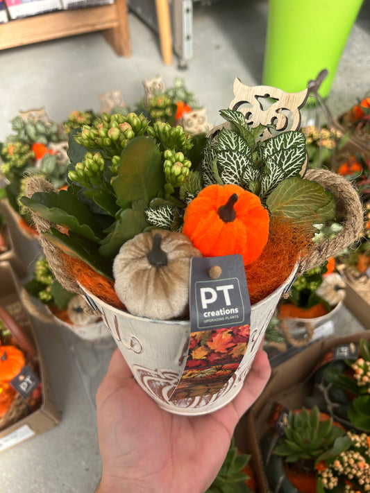 composition florales d'Audomne