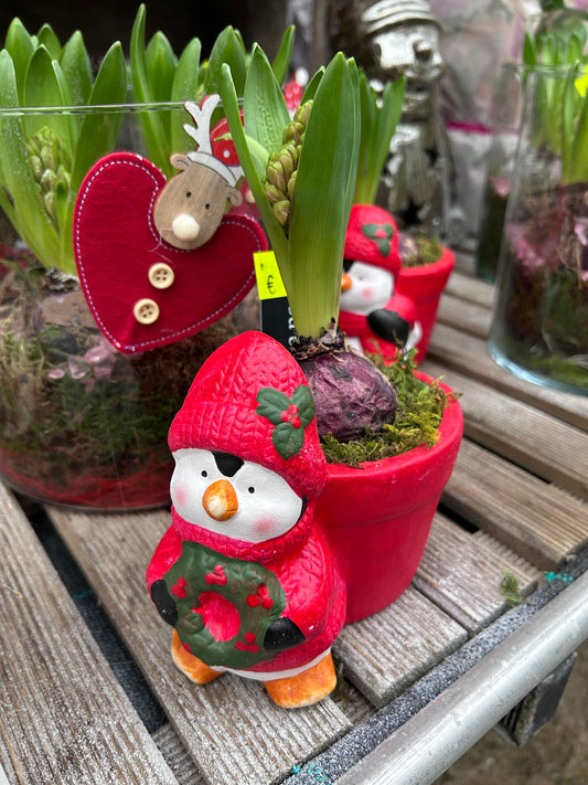 Composition florale pour les fêtes de fin d'année