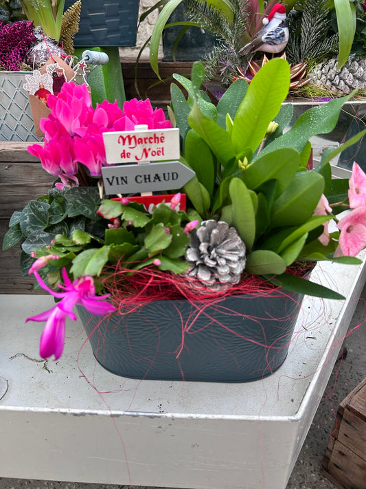 Composition florale pour les fêtes de fin d'année