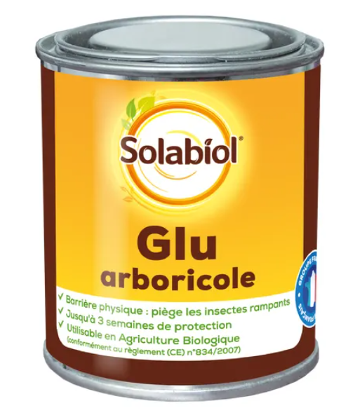 Glu abricole