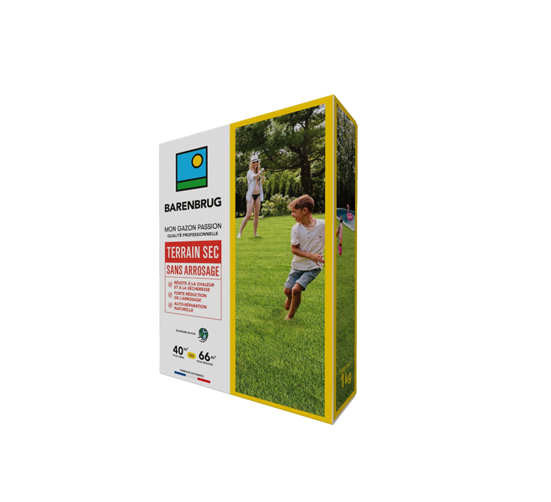 Gazon terrain sec sans arrosage ( 1KG)