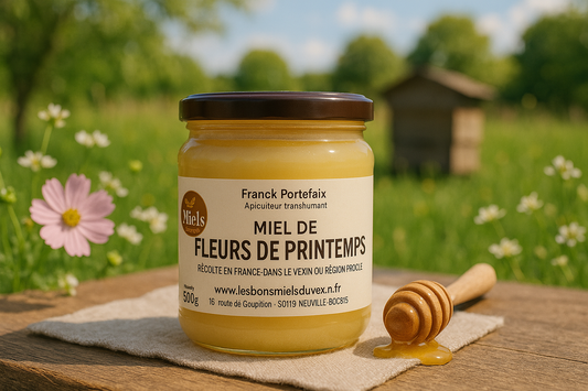 Miel de fleurs de printemps