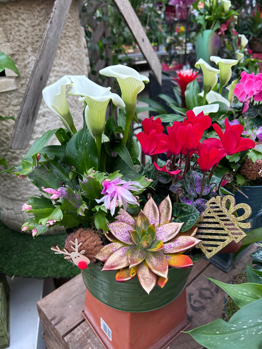 Composition florale pour les fêtes de fin d'année