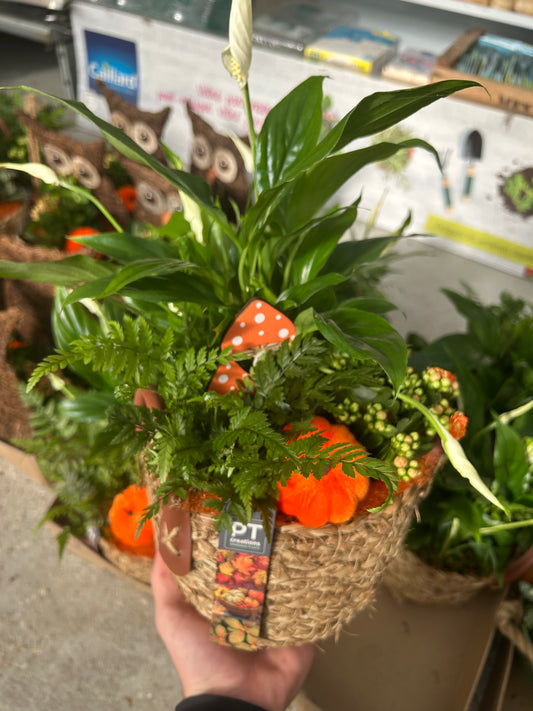 composition florales d'Audomne