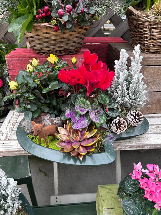 Composition florale pour les fêtes de fin d'année