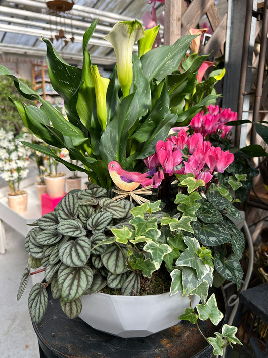 composition florales