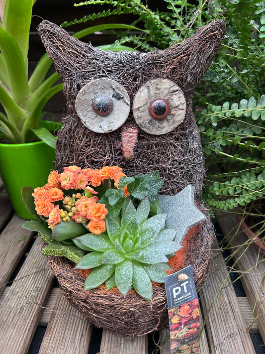 Composition florale pour les fêtes de fin d'année