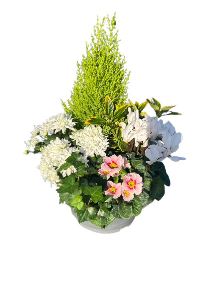 Compositions florales ronde  diamètre 30