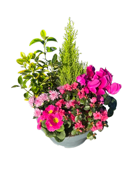 Compositions florales ronde  diamètre 35