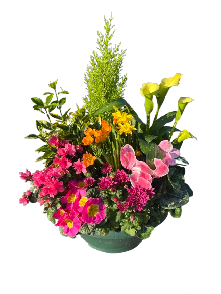 Compositions florales ronde  diamètre 40