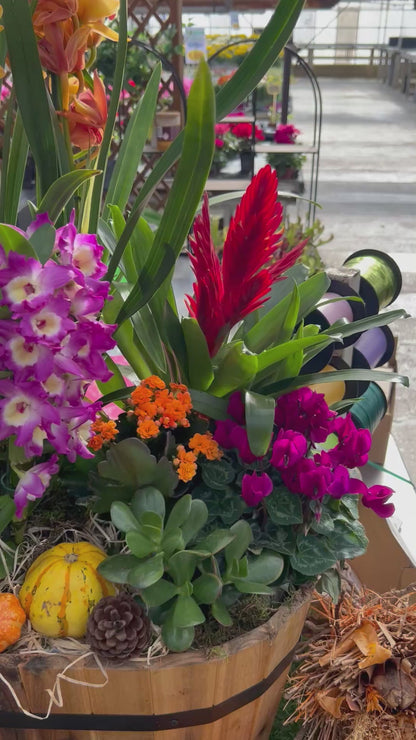 composition florales d'Audomne