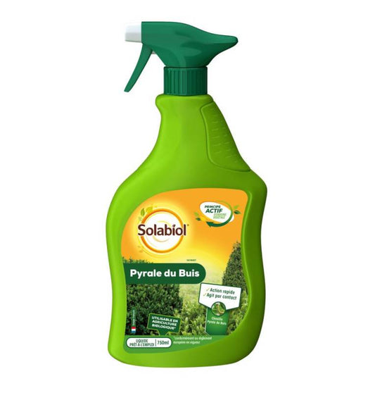 Pyrale du buis en spray